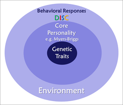 DISC Profile, DISC Personality Test, DISC Test, DISC Assessment