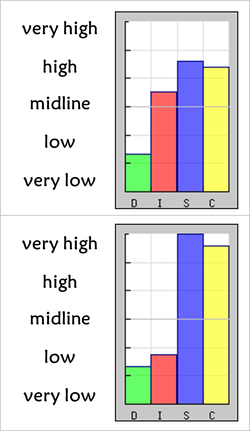 DISC Profile, DISC Personality Test, DISC Test, DISC Assessment